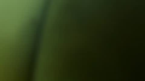 chuckyschick69 online show from December 3, 4:53 am