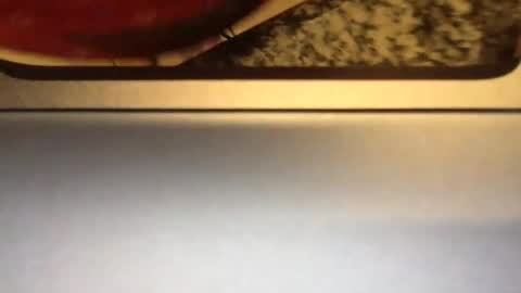 Snapshot of ciarastarz321 chatting on April 5, 5:37 am Carlee carleegracexxx online show from April 5, 5:37 am