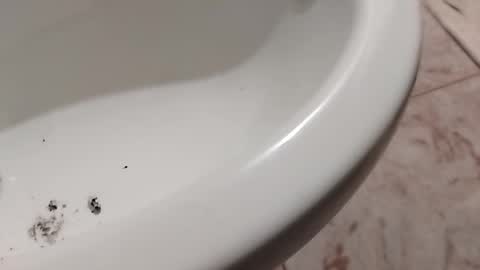 Snapshot of ciccilli chatting on November 1, 10:23 pm ciccilli online show from November 1, 10:23 pm