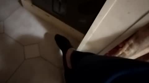 ciccilli online show from November 8, 3:50 am