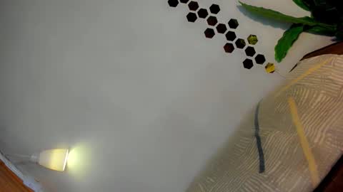 Snapshot of classy_bombshellxx chatting on January 12, 3:17 pm Amanda trans red one Anna Girl black one online show from January 12, 3:17 pm