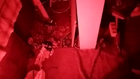 Cocolino  online show from April 12, 5:18 pm