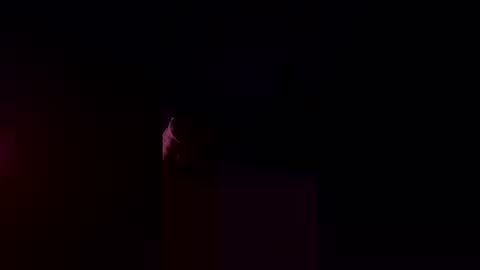 Snapshot of cockstroker37182837 chatting on April 5, 8:00 am cockstroker37182837 online show from April 5, 8:00 am