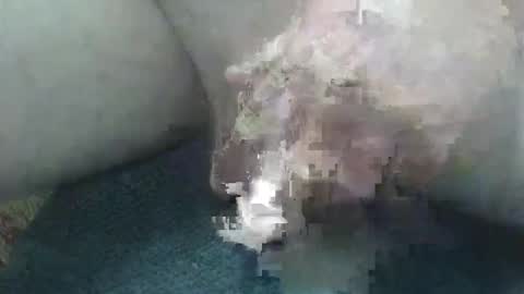 cocktoys online show from February 2, 5:50 am