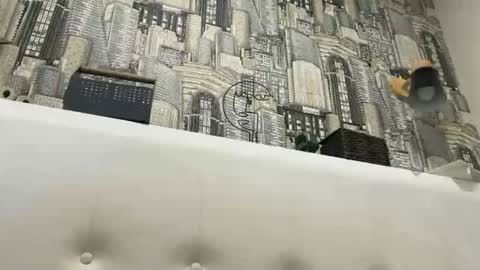 colambus83 online show from March 8, 2:21 pm