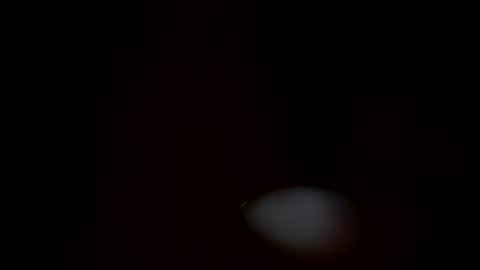 Snapshot of columbusohio614 chatting on October 8, 3:48 am Heavyd614 online show from October 8, 3:48 am