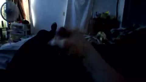 connlee10929154 online show from January 16, 2:21 pm