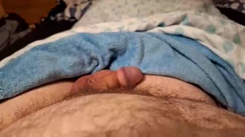 Harry 13 online show from February 28, 6:36 am