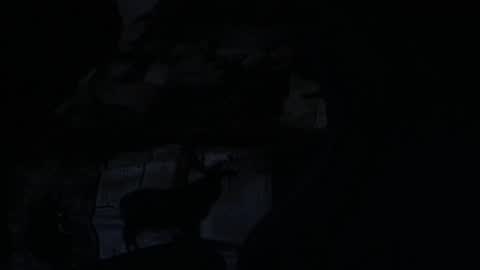 Snapshot of cooley77701 chatting on February 5, 10:42 am cooley77701 online show from February 5, 10:42 am