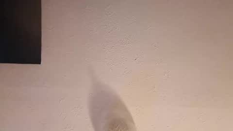 Snapshot of cooper_120805 chatting on September 23, 2:47 am cooper_120805 online show from September 23, 2:47 am