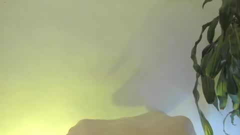 Coral princex online show from February 20, 6:26 am