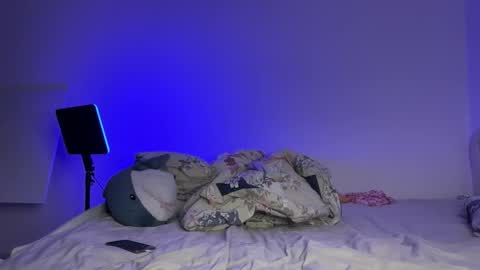 Snapshot of cosmo_pussy chatting on December 18, 12:44 pm Lina online show from December 18, 12:44 pm