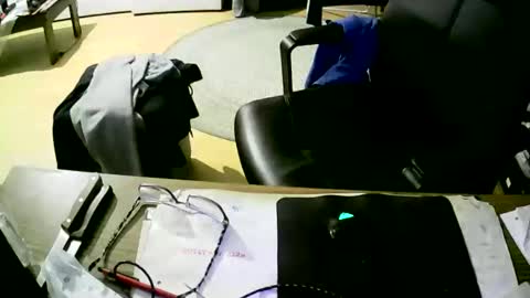 coyote017 online show from January 6, 6:47 am