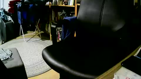 coyote017 online show from January 7, 12:31 pm