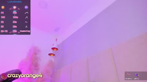 Snapshot of crazyorange4 chatting on February 14, 2:12 pm You can ask online show from February 14, 2:12 pm