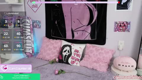 Crimson Kitten online show from February 1, 4:24 am