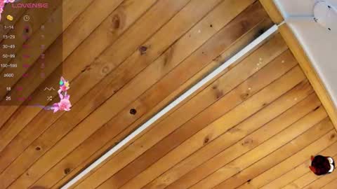 Cristal online show from September 22, 4:25 am