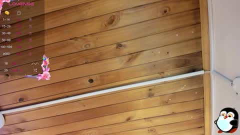 Cristal online show from October 29, 5:53 am