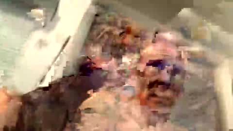 Snapshot of critterick6674 chatting on March 31, 11:27 pm critterick6674 online show from March 31, 11:27 pm