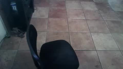 Snapshot of crossdressernola504 chatting on February 26, 6:29 pm crossdressernola504 online show from February 26, 6:29 pm