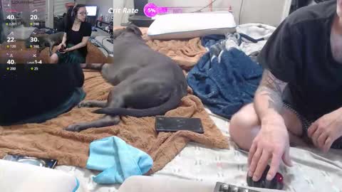 Crownandkat online show from March 2, 11:33 pm