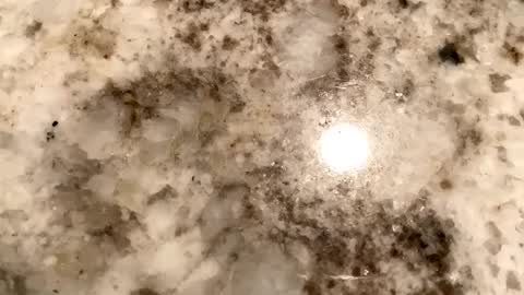 Crushit online show from February 6, 7:13 am