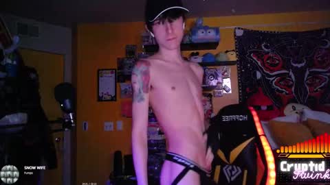 Snapshot of cryptidtwink chatting on February 19, 6:53 am CryptidTwink online show from February 19, 6:53 am