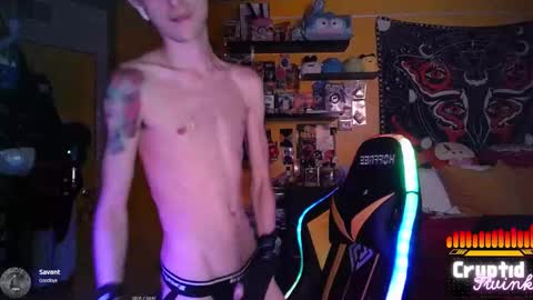 Snapshot of cryptidtwink chatting on March 15, 6:30 am CryptidTwink online show from March 15, 6:30 am