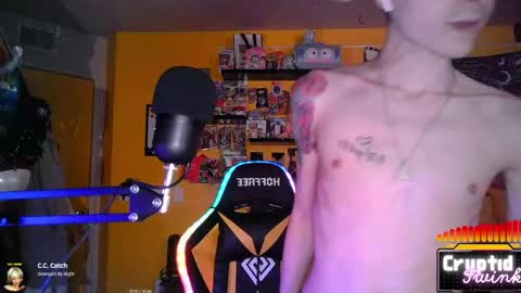 Snapshot of cryptidtwink chatting on March 18, 6:27 am CryptidTwink online show from March 18, 6:27 am