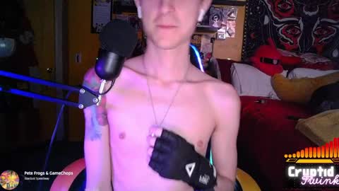 Snapshot of cryptidtwink chatting on March 30, 6:03 am CryptidTwink online show from March 30, 6:03 am