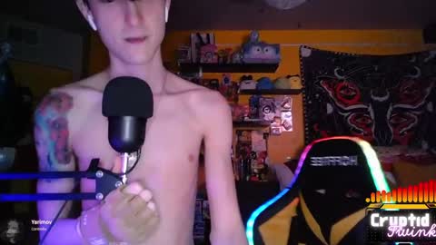 Snapshot of cryptidtwink chatting on April 2, 6:22 am CryptidTwink online show from April 2, 6:22 am