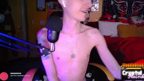 Snapshot of cryptidtwink chatting on April 3, 6:22 am CryptidTwink online show from April 3, 6:22 am