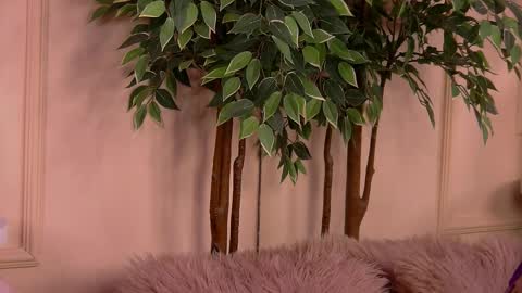 crystallred online show from February 18, 6:20 am