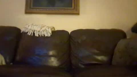 cubforotter online show from October 19, 10:16 am