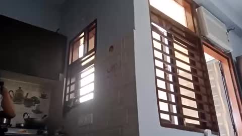 cuddlemuffins online show from March 1, 5:42 am