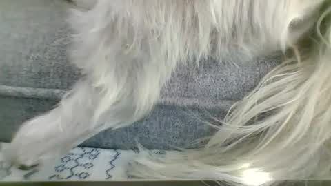 Snapshot of cumfestlover chatting on September 14, 11:26 pm cumfestlover online show from September 14, 11:26 pm