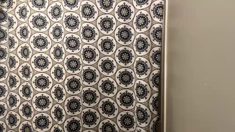 Snapshot of cumking51 chatting on January 20, 12:36 am ConCon online show from January 20, 12:36 am