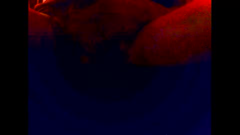Snapshot of cuntgulper1286 chatting on December 6, 3:00 pm cuntgulper1286 online show from December 6, 3:00 pm