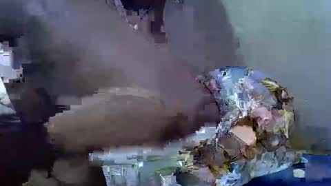 cutesexy44 online show from October 18, 7:09 am