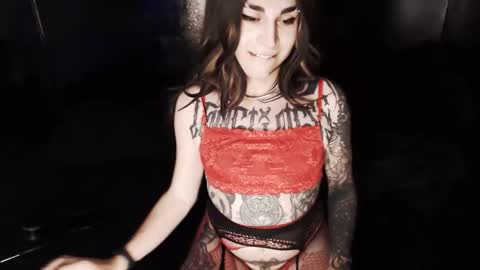 Nikki online show from February 26, 4:00 am