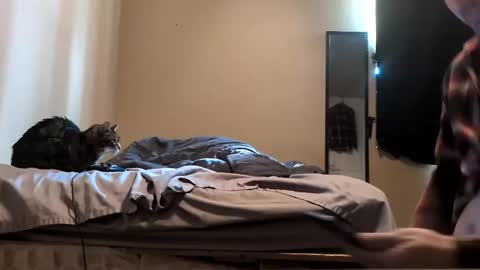 da_man411212 online show from February 19, 10:06 pm