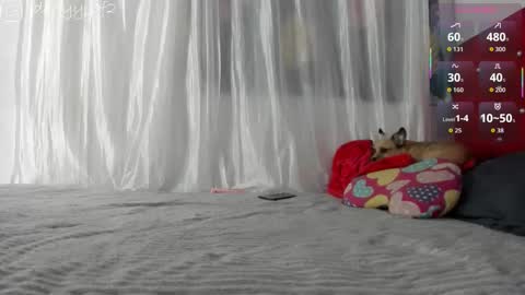 Snapshot of daani_hott chatting on January 9, 4:15 am daani_hott online show from January 9, 4:15 am