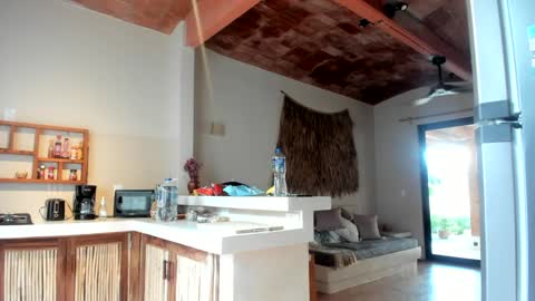 Snapshot of daddy_daycare_ chatting on March 11, 1:45 pm Belle Email daddydaycarecb online show from March 11, 1:45 pm