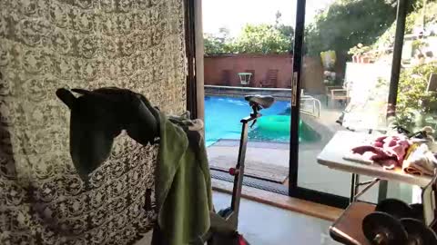 bas online show from November 9, 3:43 pm