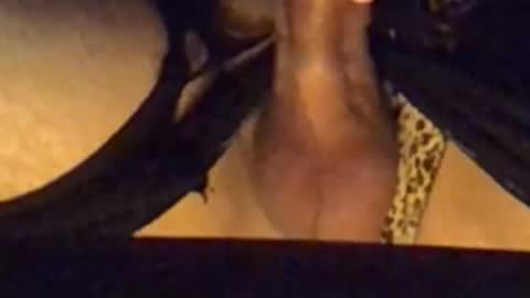 daddypervbuttprincess online show from September 13, 2:50 pm