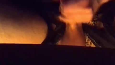 daddypervbuttprincess online show from February 26, 5:56 pm