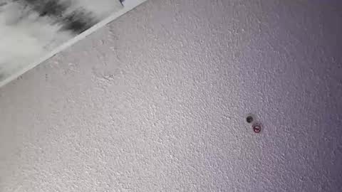 Snapshot of daddysg760472 chatting on April 4, 6:00 am PapiGuerodaddysgirl online show from April 4, 6:00 am