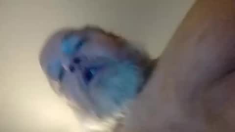 Daddyshome4115 online show from December 20, 6:42 am