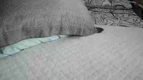 daddyslittleebony online show from April 29, 9:13 am