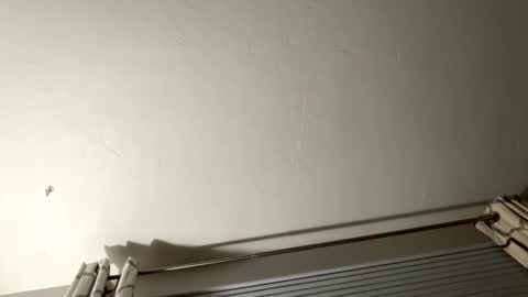 daddyweis online show from May 7, 1:55 am